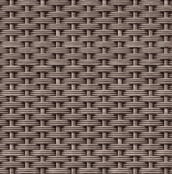 1051-2_p4g