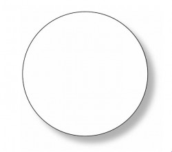 FOL0041